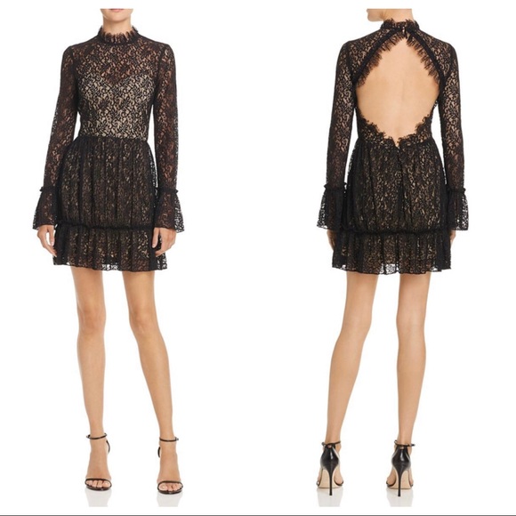 SAYLOR Dresses & Skirts - Saylor Amity Sheer Lace Open Back Flounce Dress 0737